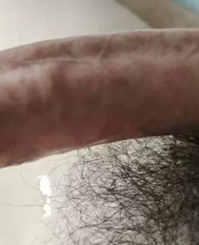 胖胖的鸭子